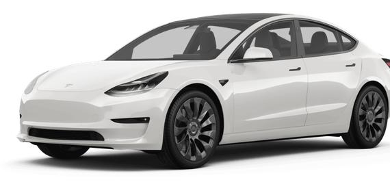 TESLA MODEL 3 2023 5YJ3E1EA1PF429262 image